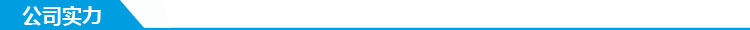 公司實力5