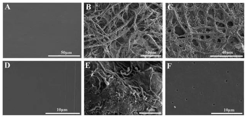 1647243393461563.png image.png