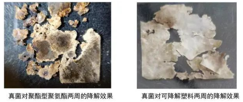 1647243412298546.png image.png