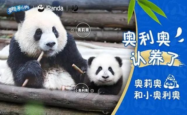 1653960655594118.jpg 9b11c77879ca2aba430defa55a000198.jpg