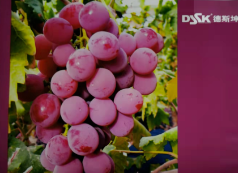 1687744628858013.png image.png