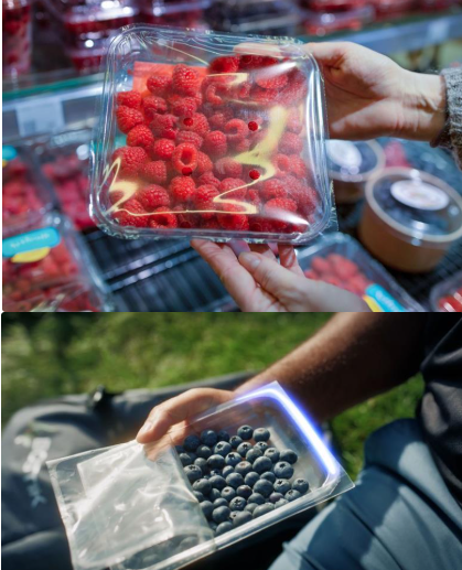 1735801219492448.png image.png